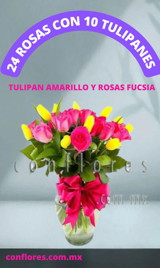 Jamaica Flores Tulipanes  Gracias Fucsia