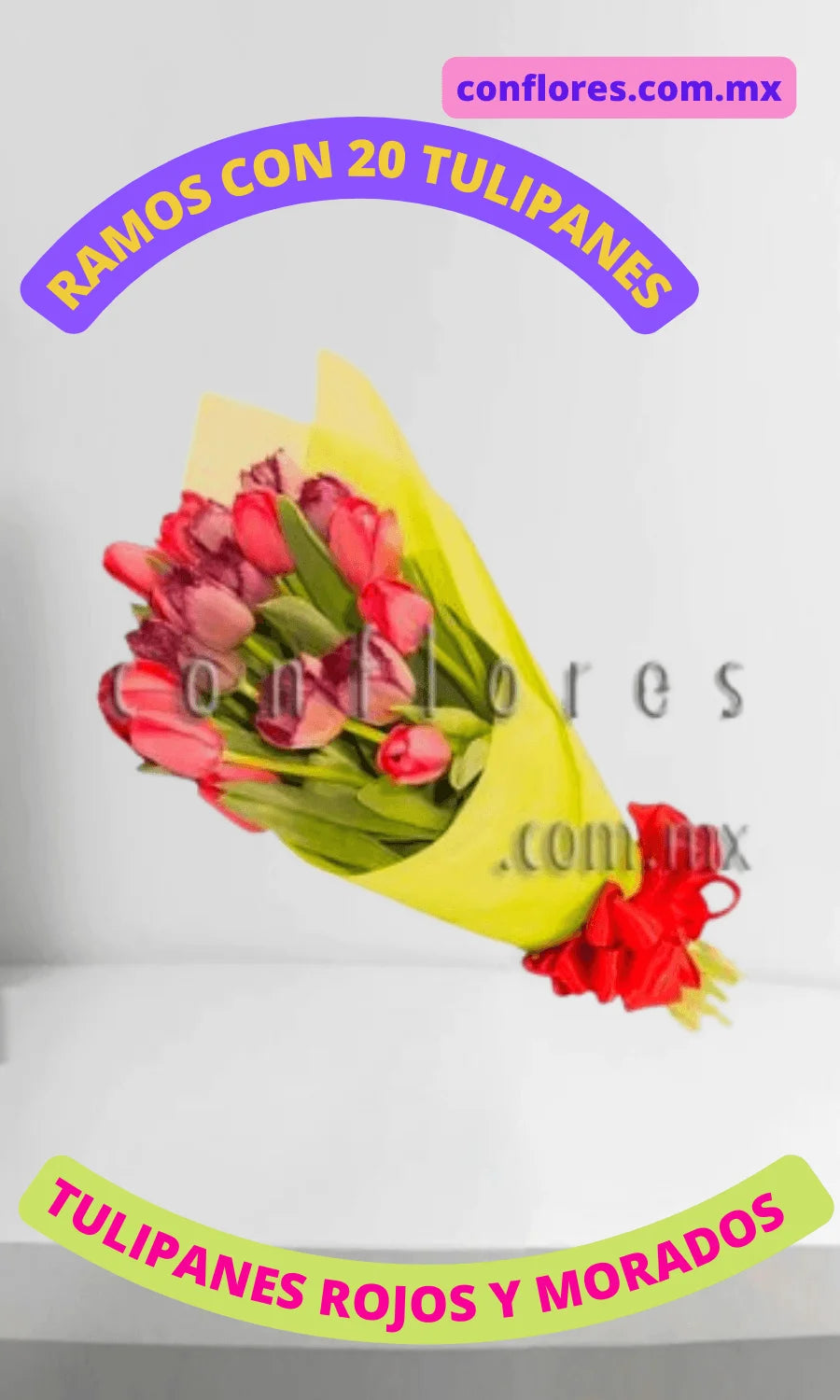 Regalo de Tulipanes en Ramo Aramys