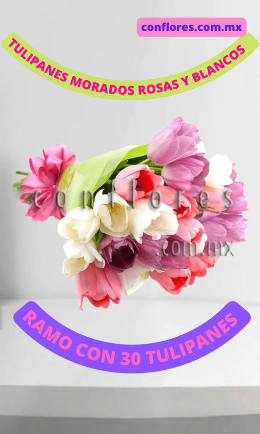 Ramos de Tulipanes Vida y Romance