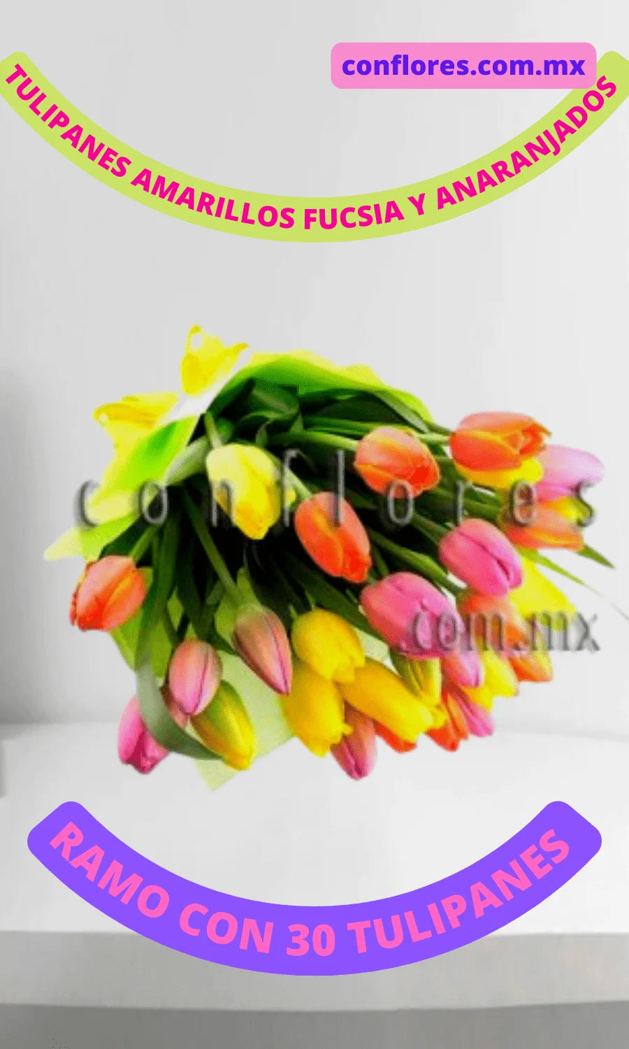 Regala Tulipanes Super Color !