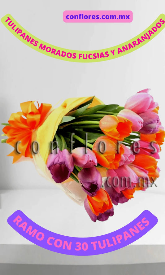 Tulipanes en Benito Ju%C3%A1rez Gift