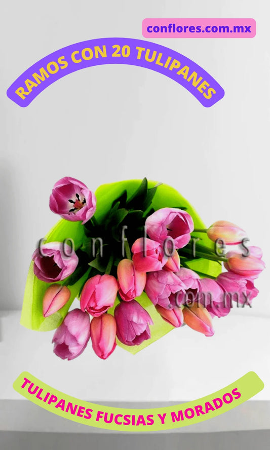 Florer’as Benito Ju%C3%A1rez Tulipanes Italy Pink