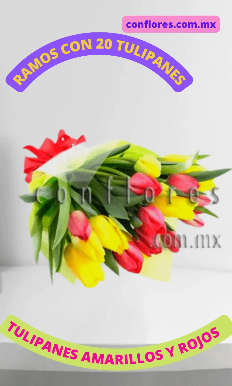 Envi— Flores Tulipanes Rojos Espa–ol