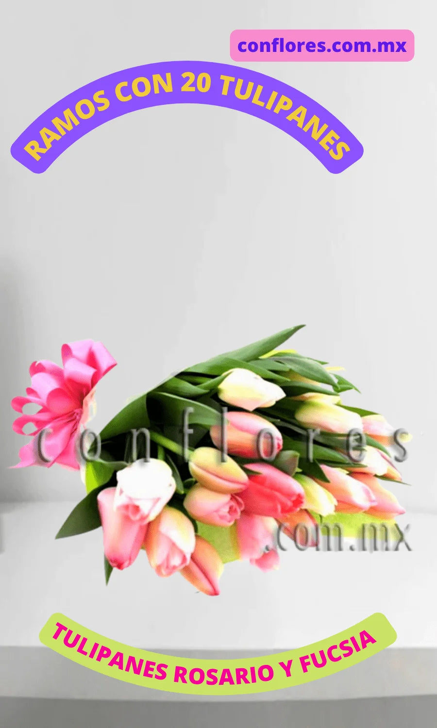 Tulipanes de Regalo Armon’a Rosa