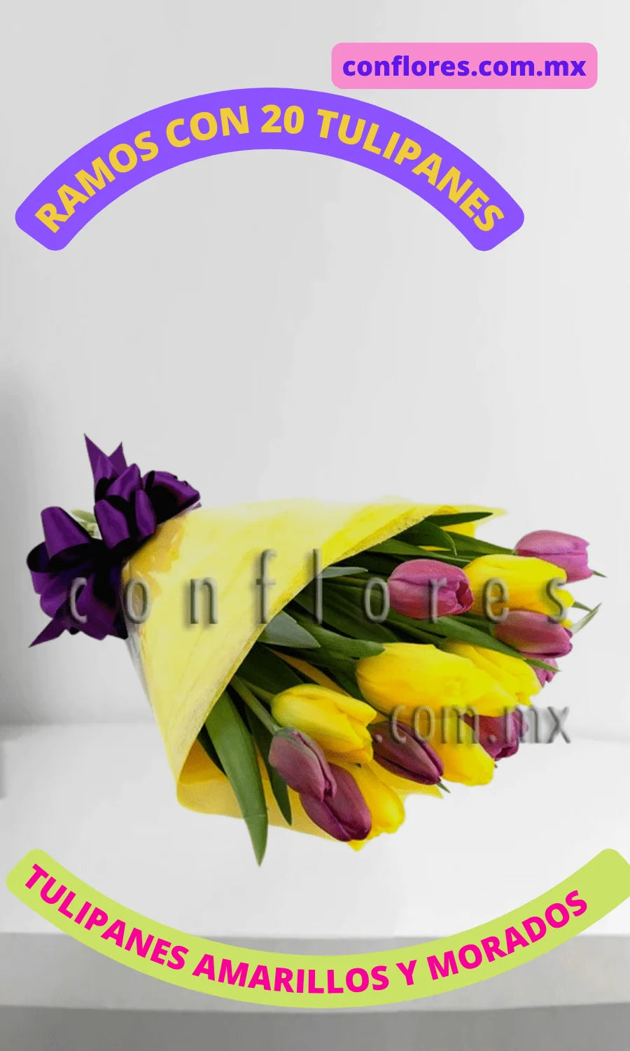 Tulipanes para Regalar Beauty & Beauty