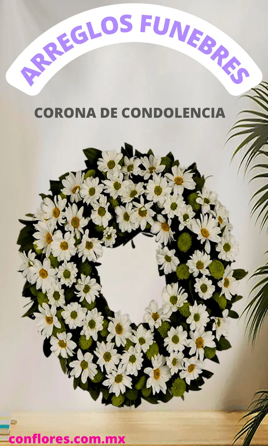 Corona Fœnebre Con Margaritas Blancas a Funerarias Gayosso