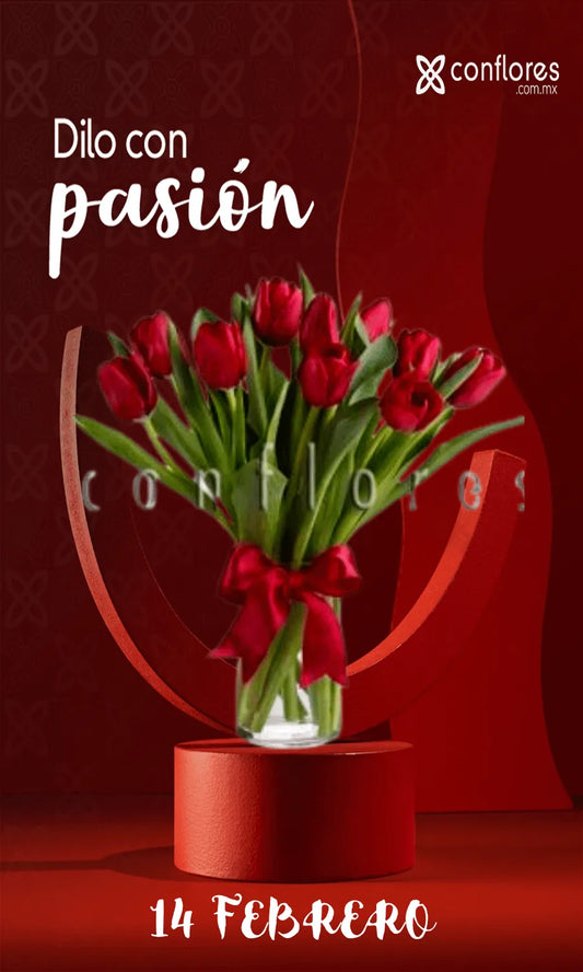 Regala Tulipanes Rojos 14 de Febrero