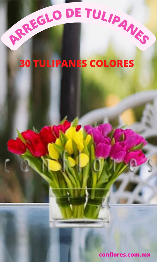 Arreglo de Tulipanes So–ar Un Poco M%C3%A1s