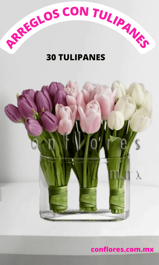 Arreglos con Tulipanes Te Quiero
