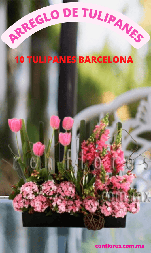 Arreglos con Tulipanes Esperanza