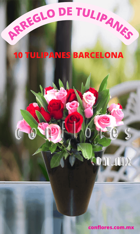 Arreglos con Tulipanes Rosa Bella