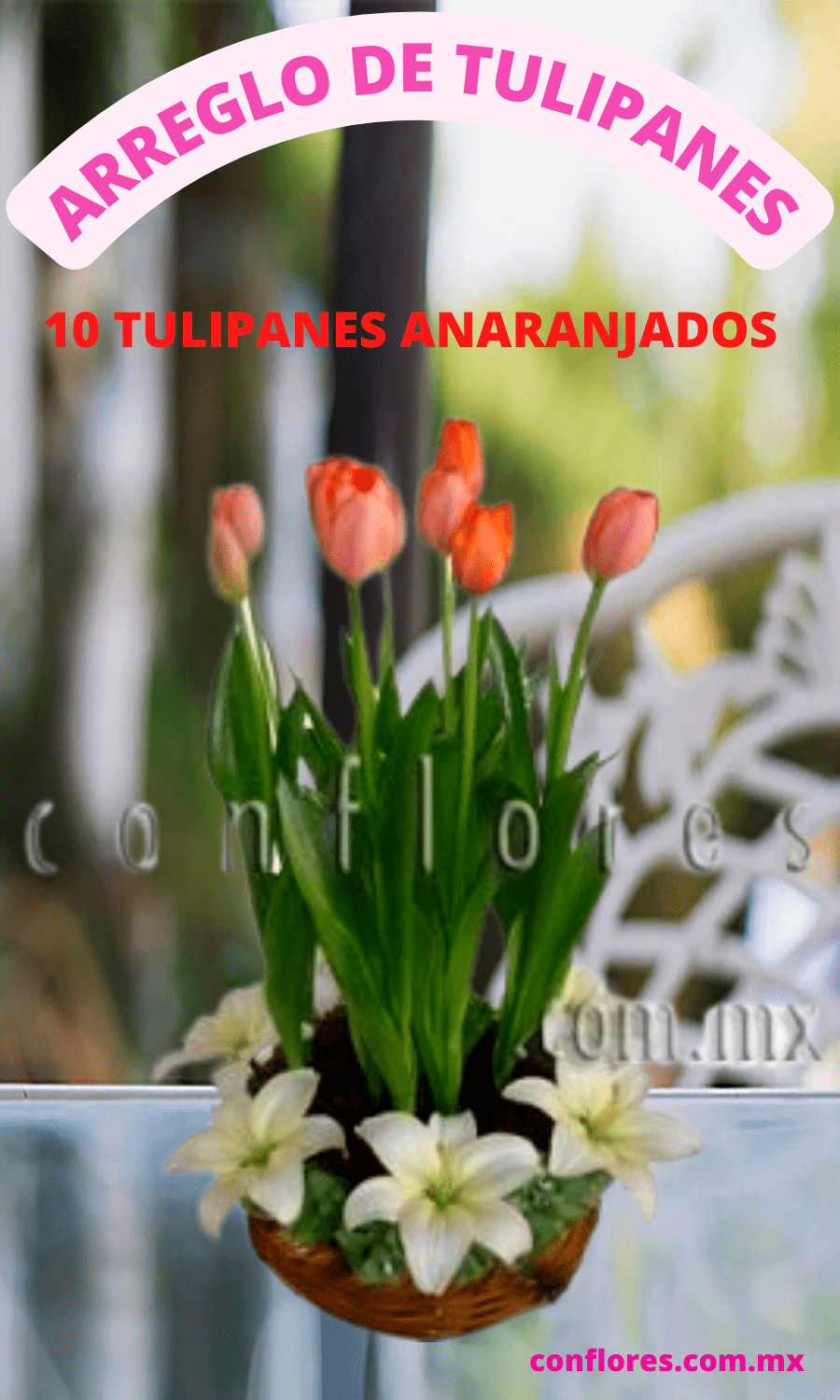 Arreglos con Tulipanes Tu Mirada