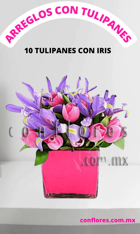 Arreglos con Tulipanes Iris Blue