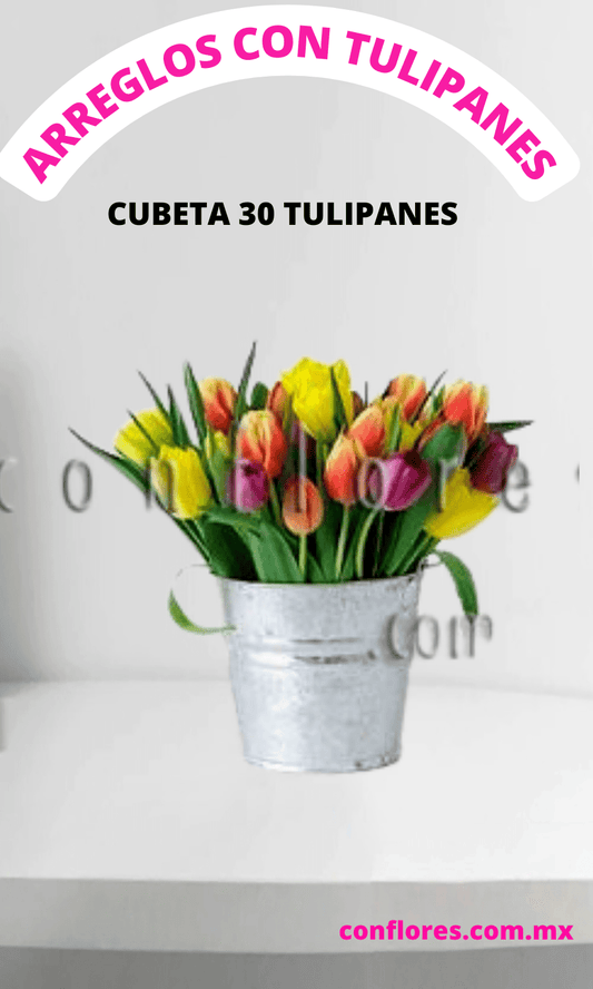 Arreglos con Tulipanes Cubeta de Colores