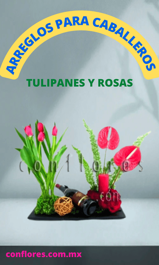 Arreglos para Hombres Tulipanes y Vino !