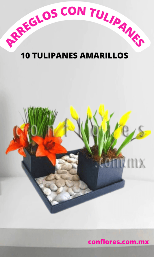 Arreglos con Tulipanes Adicto A Ti