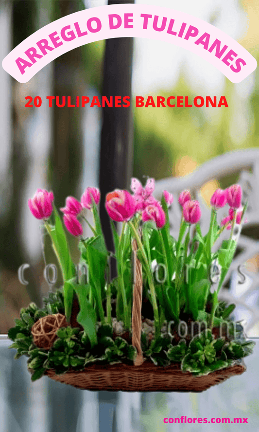 Arreglos con Tulipanes Gestos de Amor