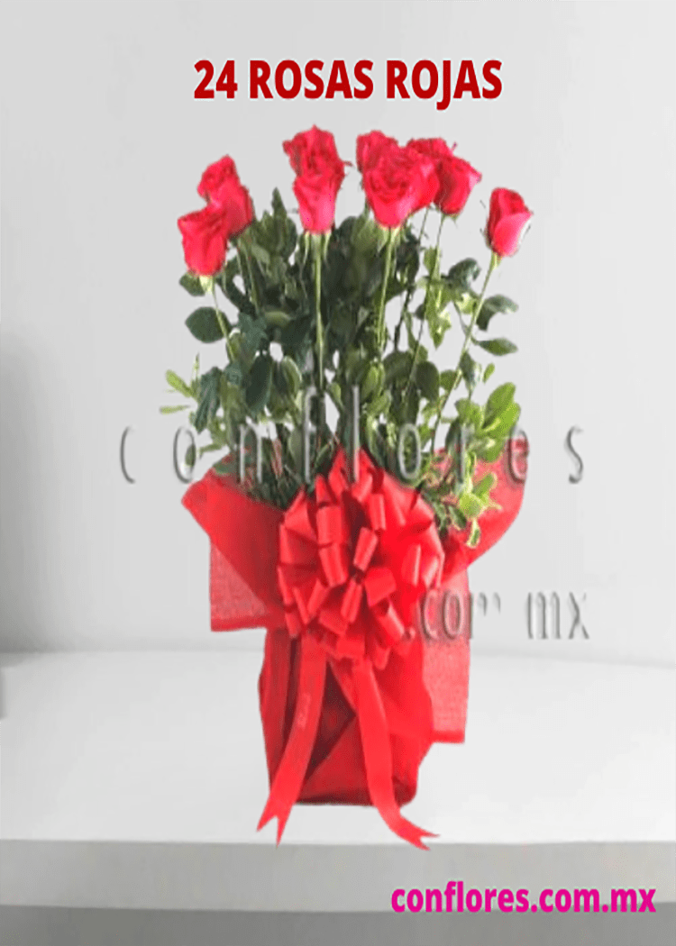 Arreglos con Rosas Rojas Lluvia De Verano !