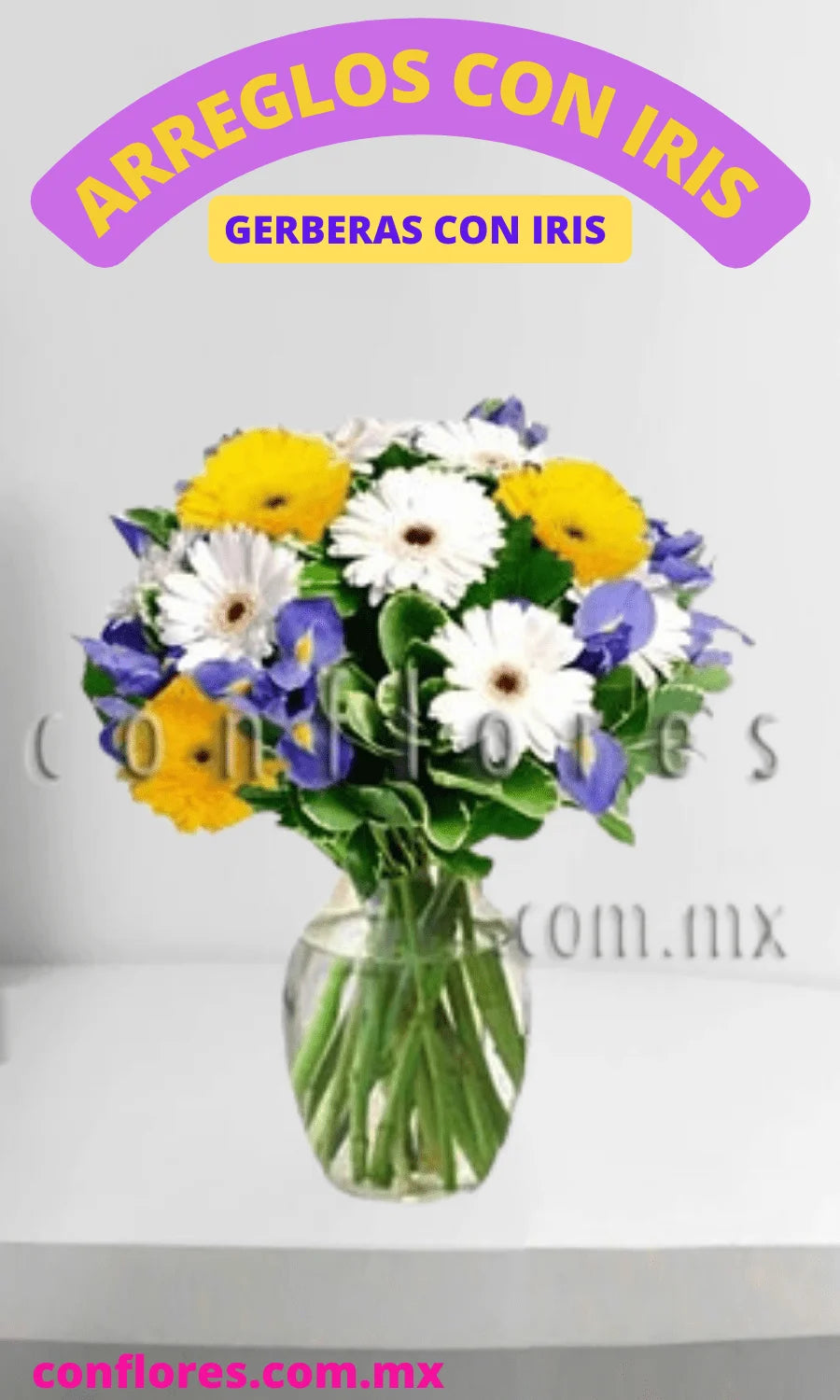 Regala Flores Iris Azules