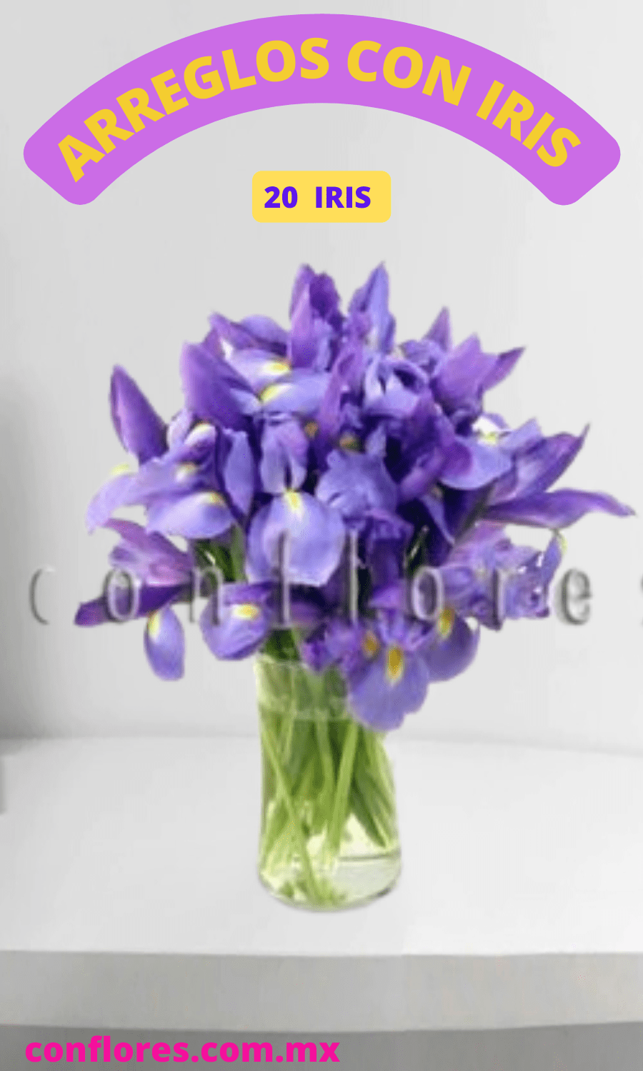 Florer’as en Coyoac%C3%A1n Iris Azules
