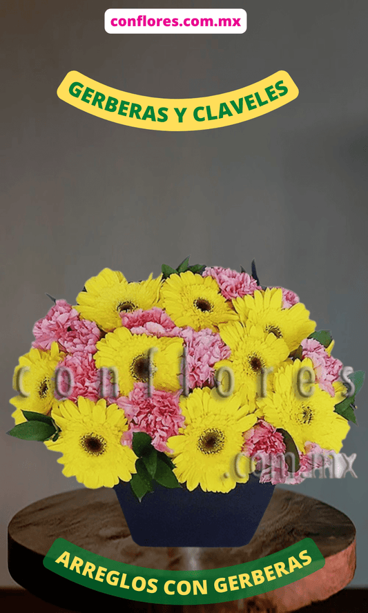 Env’a Flores Gerberas Amarillas