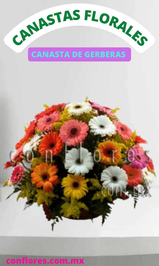 Canastas florales con Gerberas a Domicilio