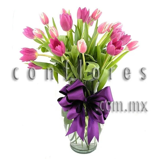 Tulipanes Morados Online Enamorados & Tulips