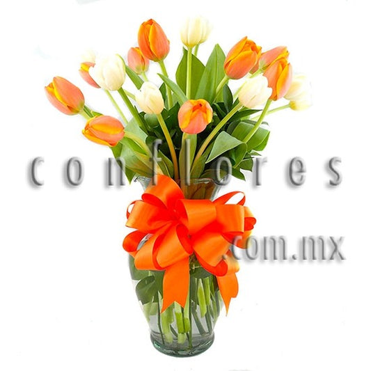 Florer’as a Domicilio Tulipanes Lovely Orange