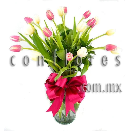 Regala Tulipanes en Santa Fe Alma y Coraz—n