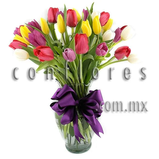 Tulipanes para Regalo Amor y Vida