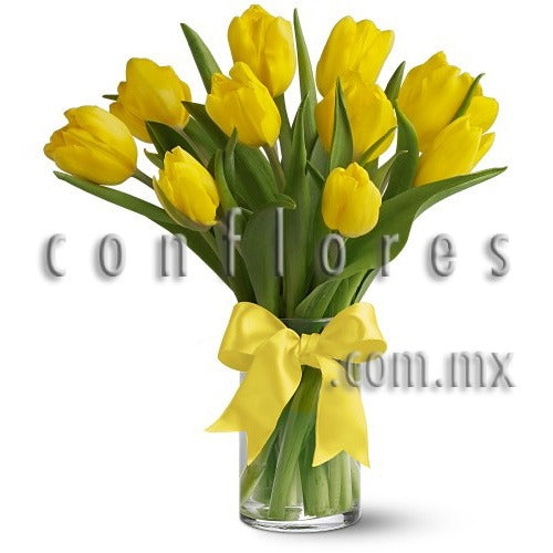 Florer’as Condesa Tulipanes Amarillos