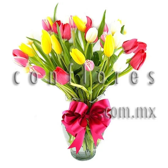 Tulipanes para Regalar Four Seasons