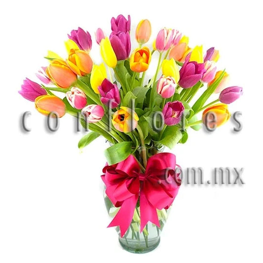 Flores Tulipanes Felicidades