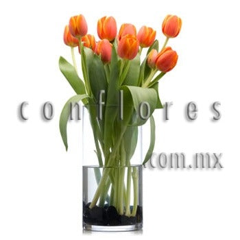 Tulipanes Naranja Para Regalar CMDX