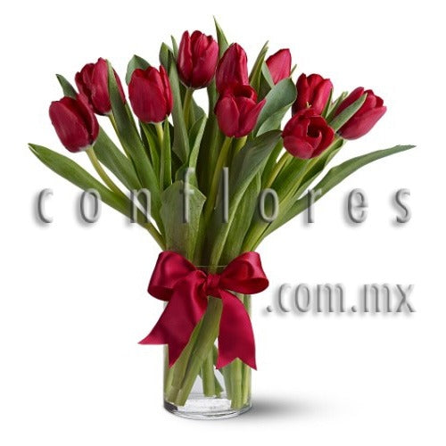 Regala Tulipanes Rojos