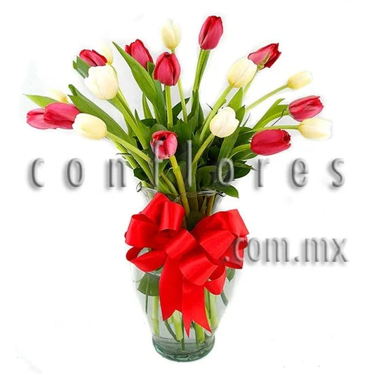 Tulipanes Rojos Sur CDMX Armon’a Love