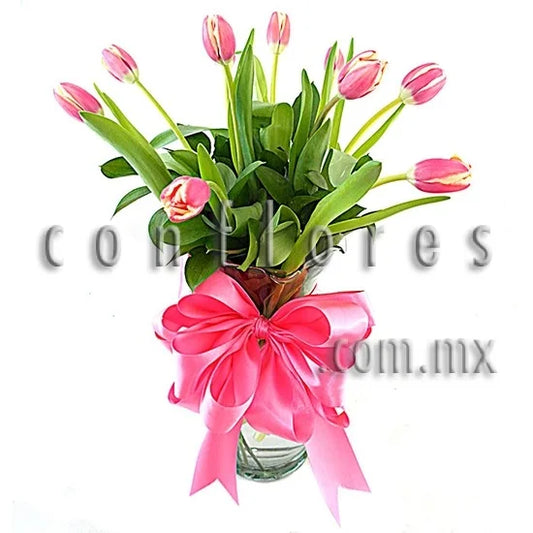 Tulipanes Florer’a MŽxico Fino Bouquet